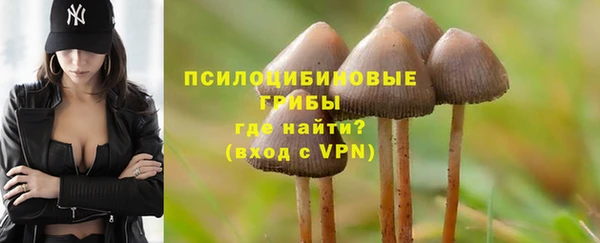 первитин Нея