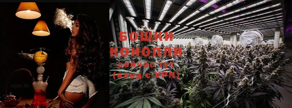 первитин Нея
