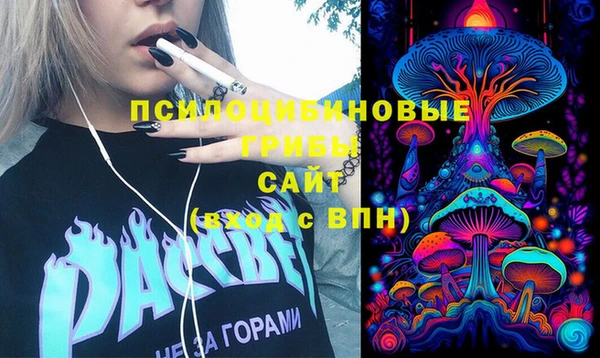 первитин Нея