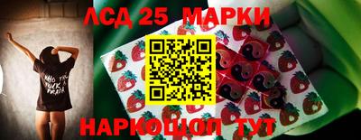 спиды Бийск